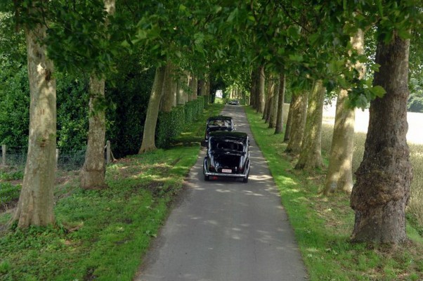 Beauval_3